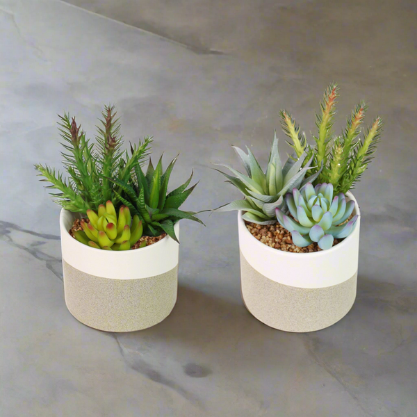 Potted Faux Succulent Plant in Beige Pots