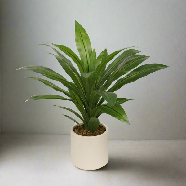 Faux Dracena Potted Plant 65cm