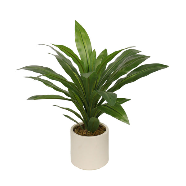 Faux Dracena Potted Plant 65cm