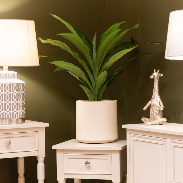 Faux Dracena Potted Plant 65cm