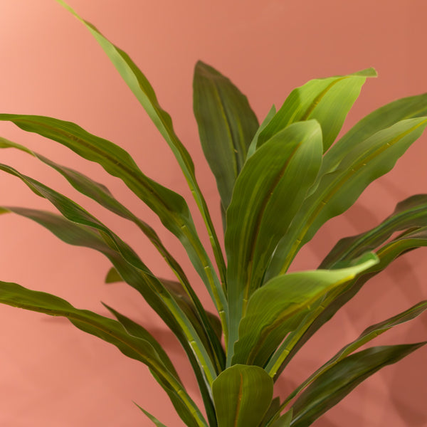 Faux Dracena Potted Plant 65cm