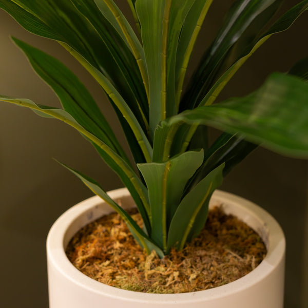 Faux Dracena Potted Plant 65cm