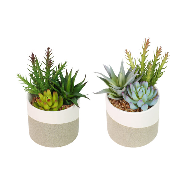 Potted Faux Succulent Plant in Beige Pots