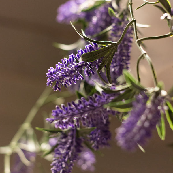 Faux Lavender Hanging Pot (White)