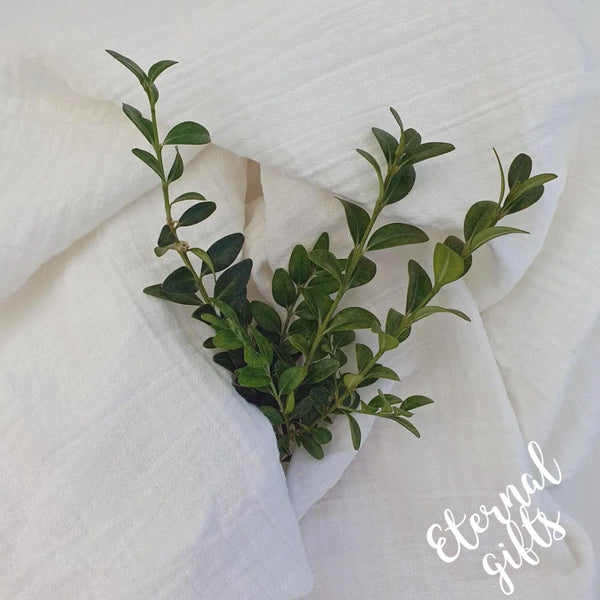 Organic Crinkle Swaddle White by Summerville Organics