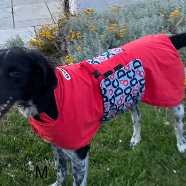 DogDry Robe Medium