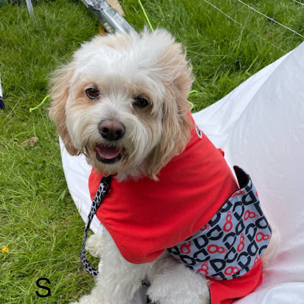 DogDry Robe Small