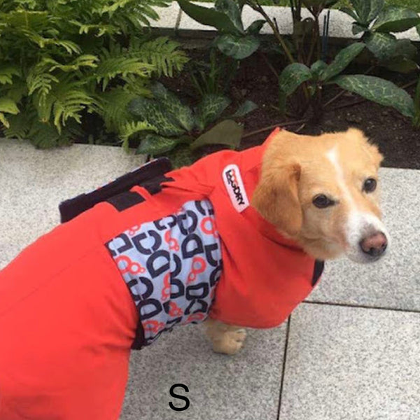 DogDry Robe Small