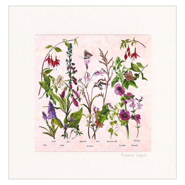 Wildflowers 'The Pinks' Print Frames by Annabel Langrish