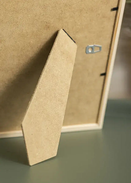 Swan Framed Print (with antique ribbon and gold nail  for hanging) by Odalisque Paris