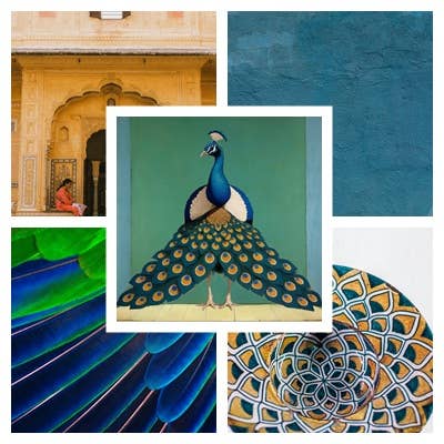 Framed Peacock (with blue ribbon and golden nail for hanging) by Odalisque Paris 20cm  20cm