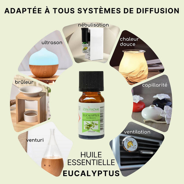Eucalyptus Essential Oil - 100% Natural - 10ml