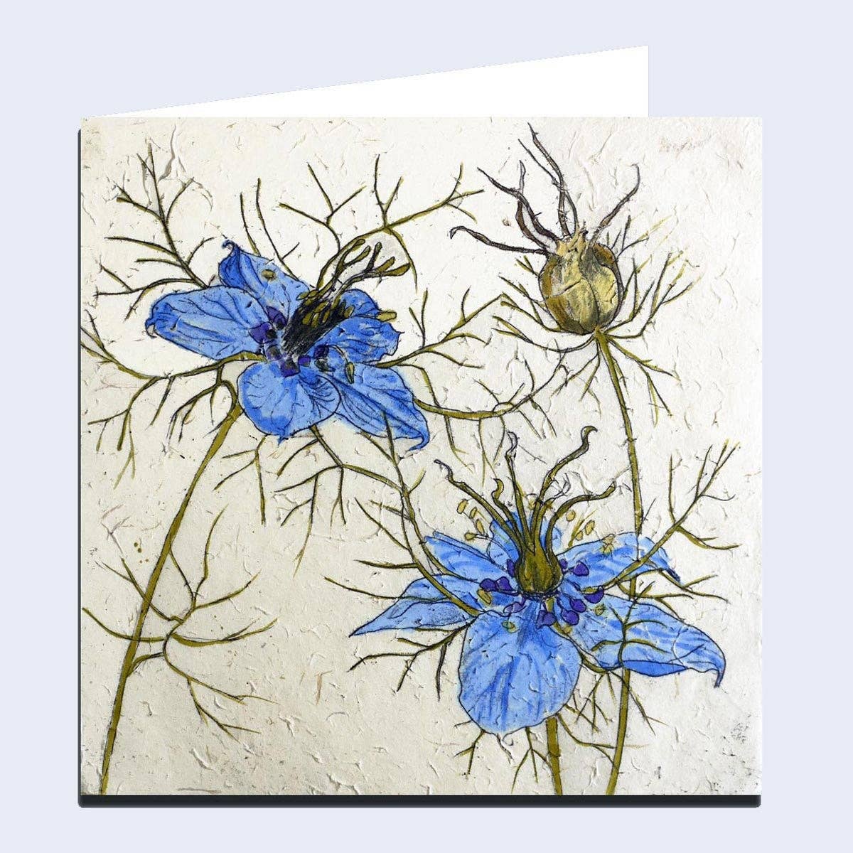 'Nigella' Greeting Card