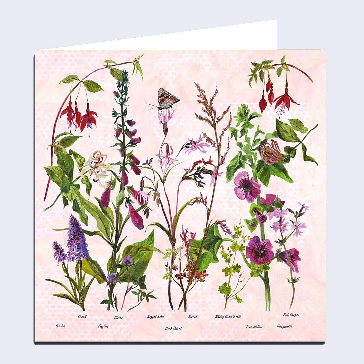 Wildflowers 'The Pinks' Greeting Card by Annabel Langrish