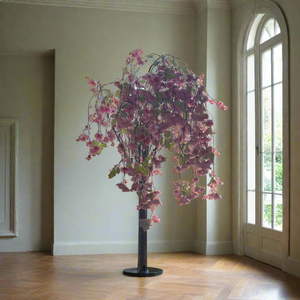 Weeping Sugar Cherry  Blossom Tree 1.4m Pink