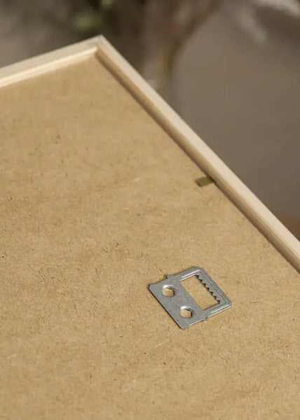 Framed Peacock (with blue ribbon and golden nail for hanging) by Odalisque Paris 20cm  20cm