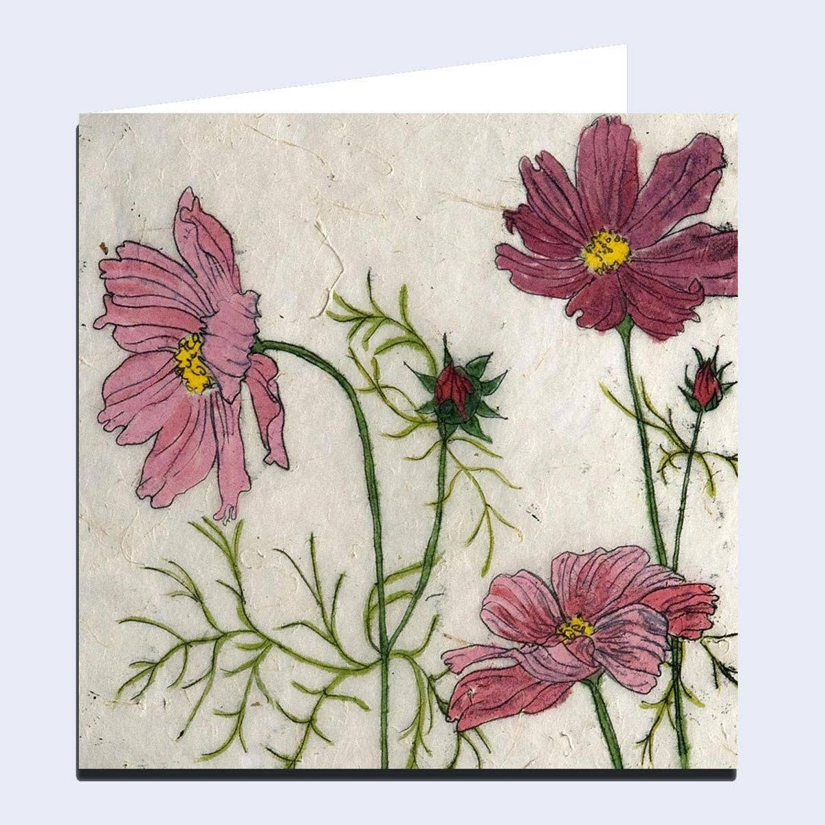 'Cosmos' Greeting Card