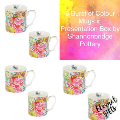 6 Burst of Colour tankard Mugs in Presentation Box by Shannonbridge Pottery
