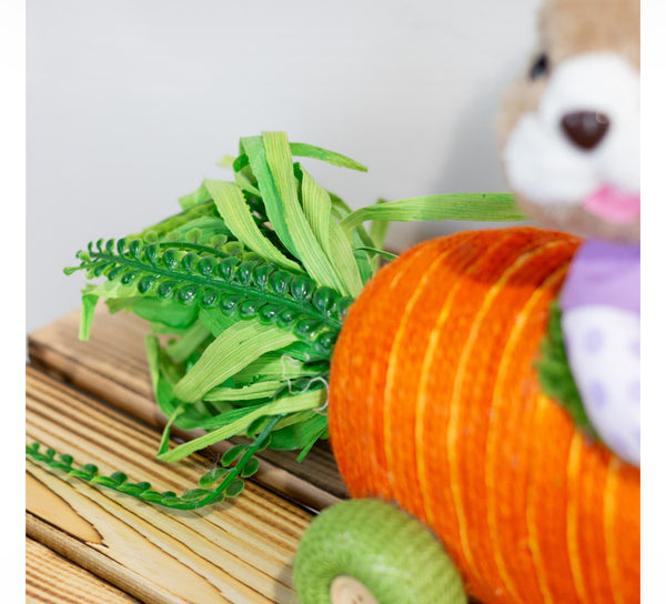 Easter Bunny in Carrott Racing Car