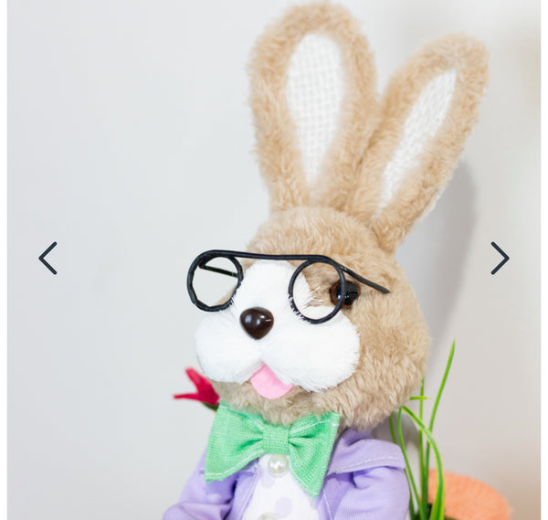 Easter Bunny in Racing Car