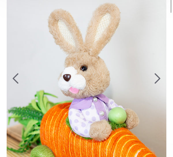 Easter Bunny in Carrott Racing Car