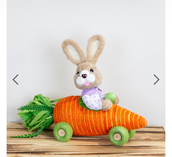 Easter Bunny in Carrott Racing Car