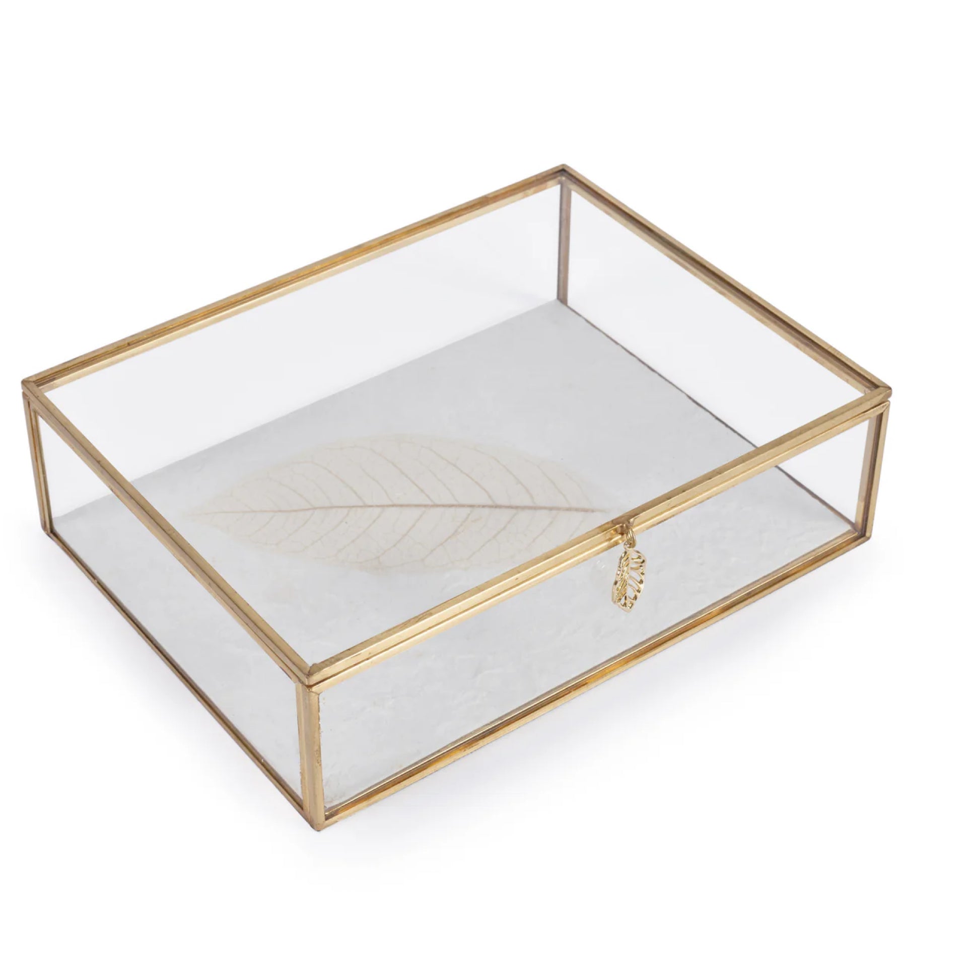 Leaf Glass Box Large by Mindy Brownes