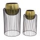 Planters Brass Bowls and Black Stands (Large & Small)