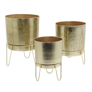 Gold Plant Stands in 3 sizes