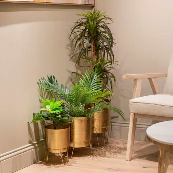 Gold Plant Stands in 3 sizes