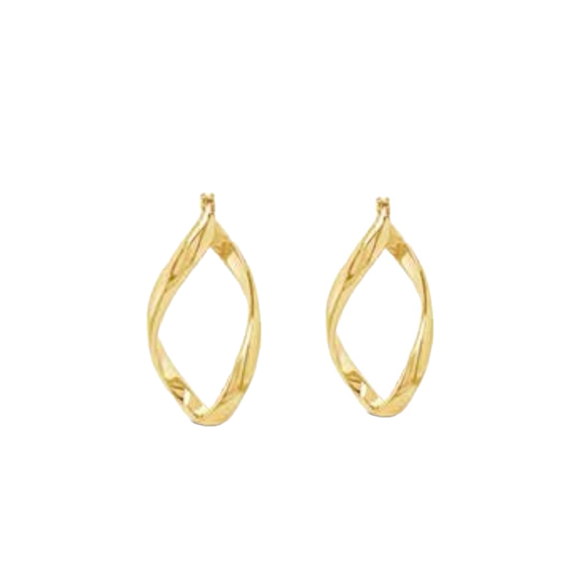 Oblong Hoop Earrings by Absolute Jewellery