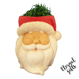 Santa Planter