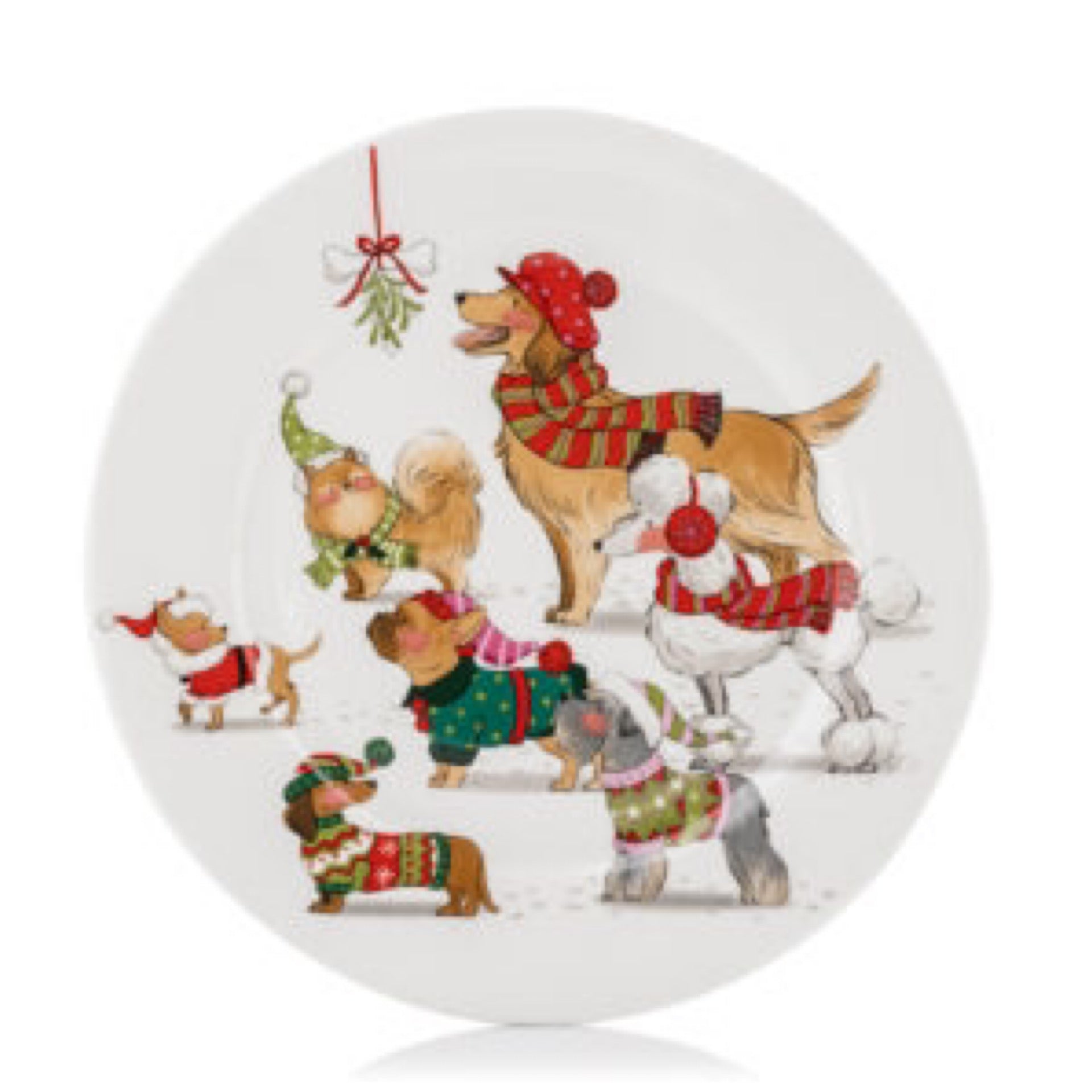 Dog Plate - Zeus Collection