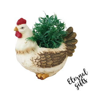 Hen Planter