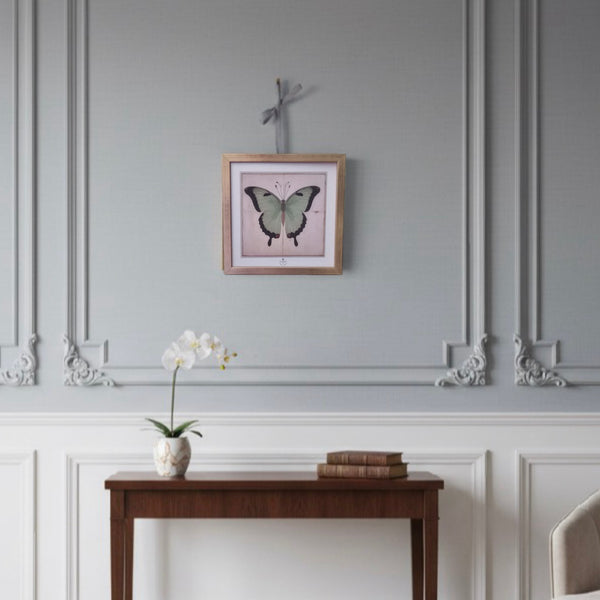 Green Butterfly framed (with blue ribbon and golden nail for hanging ) by Odalisque