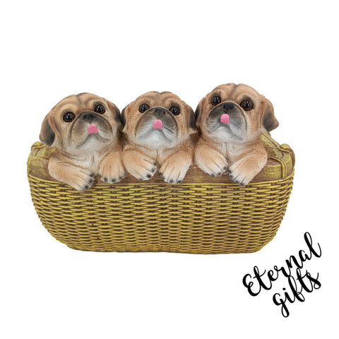 Pug Pups in Basket Planter