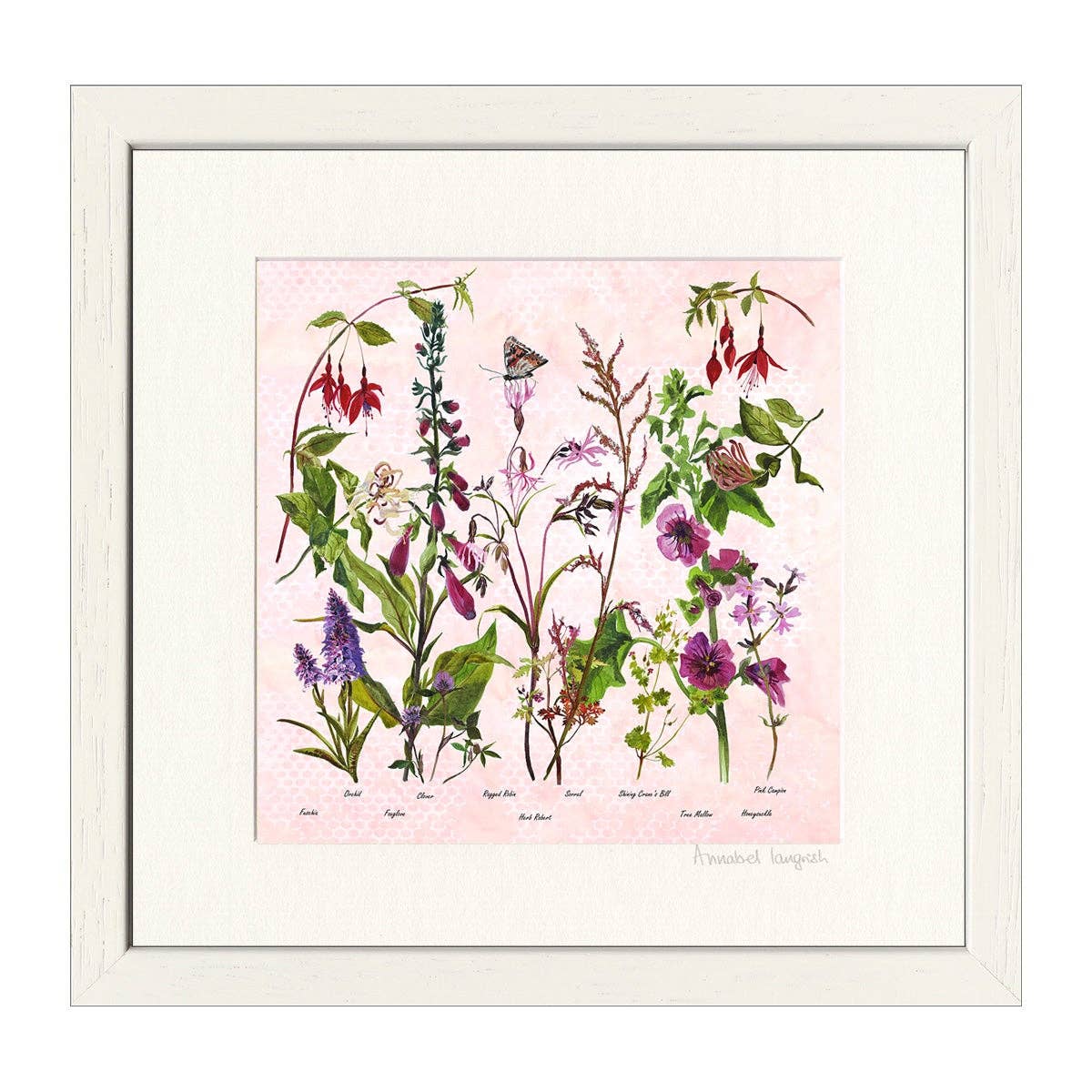 Wildflowers 'The Pinks' Print Frames by Annabel Langrish