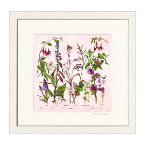 Wildflowers 'The Pinks' Print Frames by Annabel Langrish