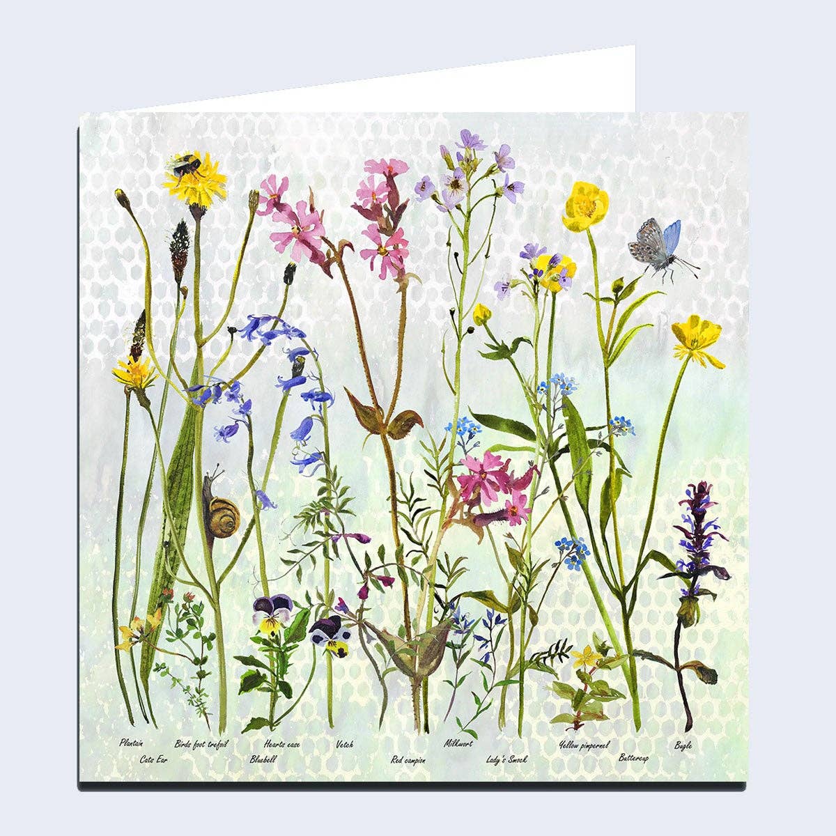 Wildflowers 'Spring' Greeting Card by Annabel Langrish