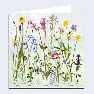 Wildflowers 'Spring' Greeting Card by Annabel Langrish