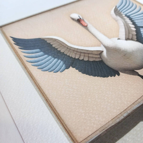 Swan Framed Print (with antique ribbon and gold nail  for hanging) by Odalisque Paris