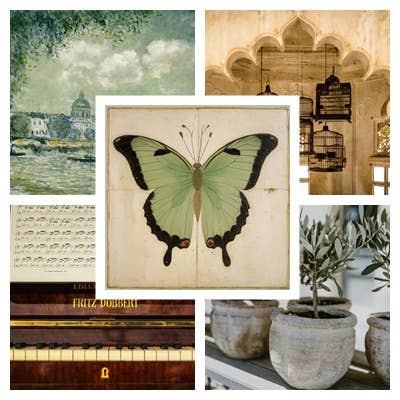 Green Butterfly framed (with blue ribbon and golden nail for hanging ) by Odalisque