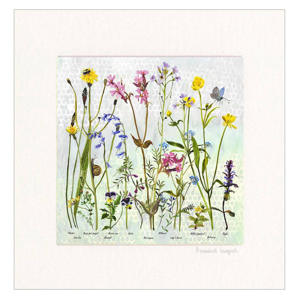 Wildflowers 'Spring' Print Framed By Annabel Langrish