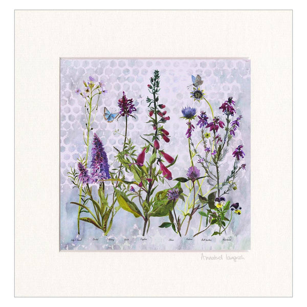 Wildflowers 'Purples' Print by Annabel Langrish
