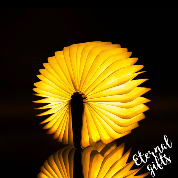 Natural Wood Smart Book Light Walnut by Gingko Design